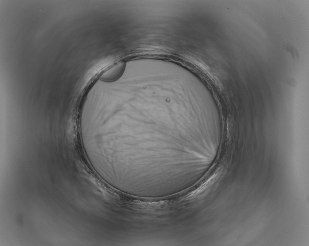 X0000112091405200909011055