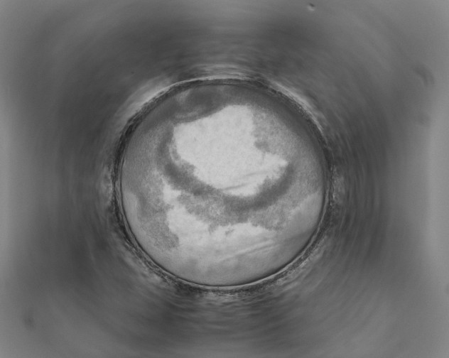 X0000112091407200909011055