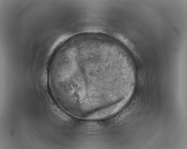 X0000112091408200909011055