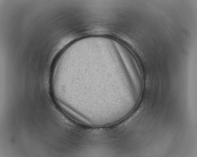X0000112091410200909011055