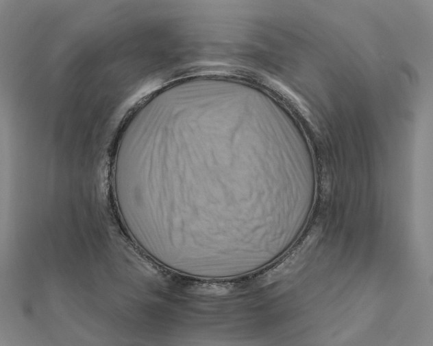 X0000112091411200909011055