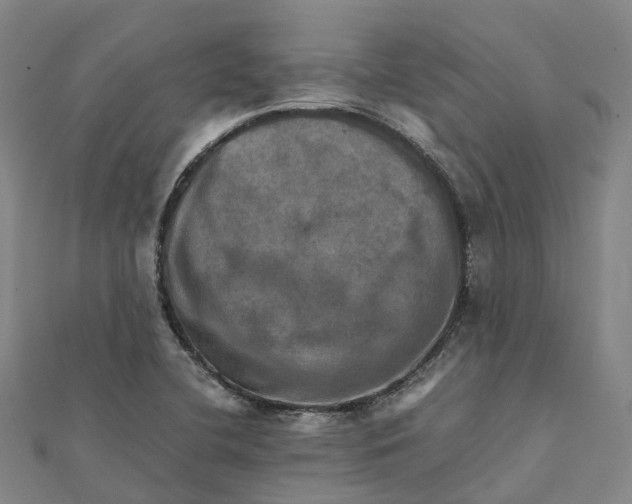 X0000112091412200909011055