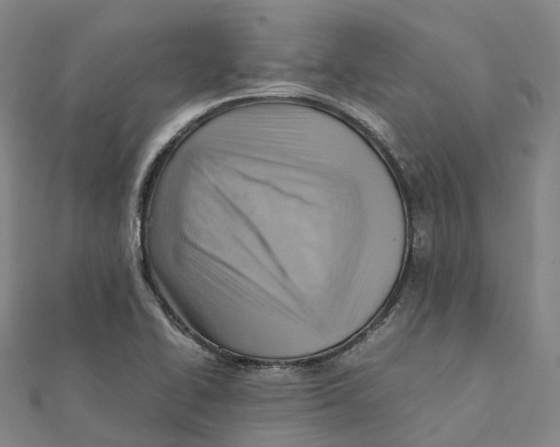 X0000112091414200909011055