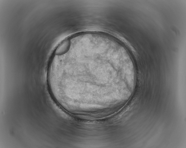 X0000112091416200909011055