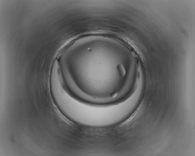X0000112091417200909011055