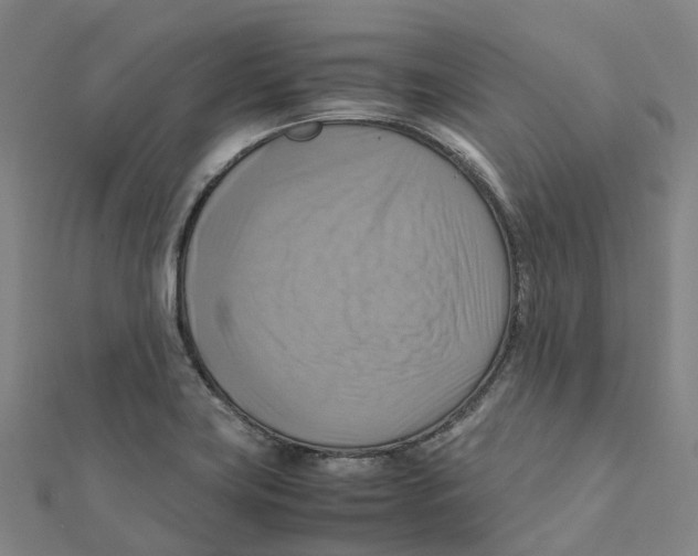 X0000112091419200909011055