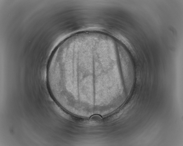 X0000112091420200909011055
