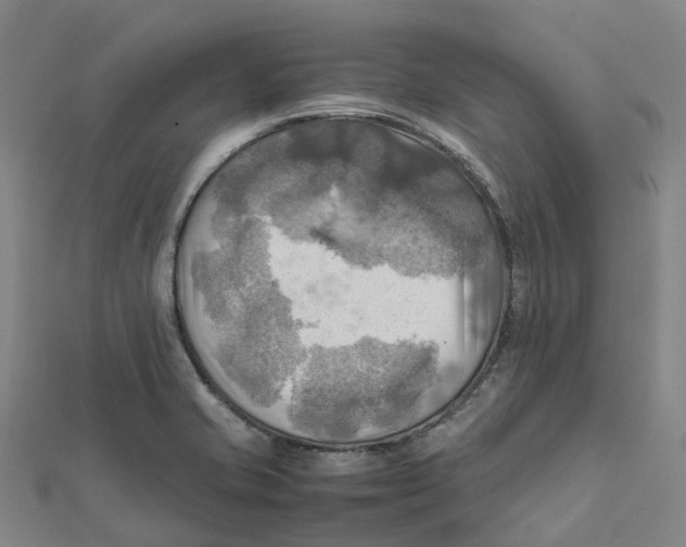 X0000112091421200909011055