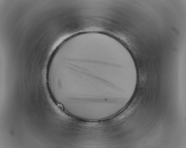 X0000112091422200909011055