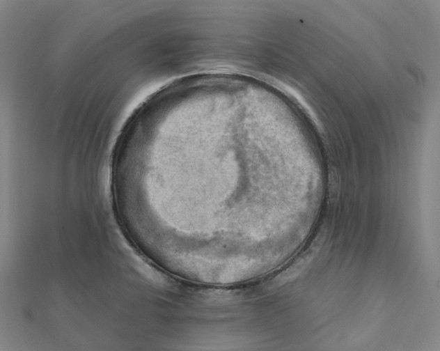 X0000112091424200909011055