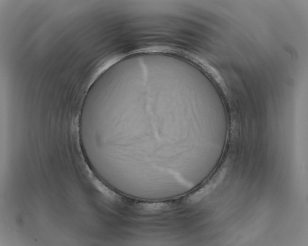 X0000112091425200909011055