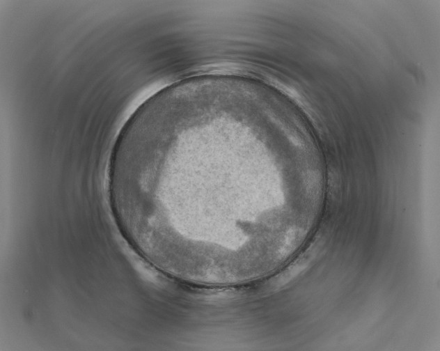 X0000112091426200909011055