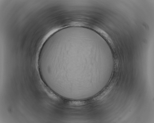 X0000112091427200909011055