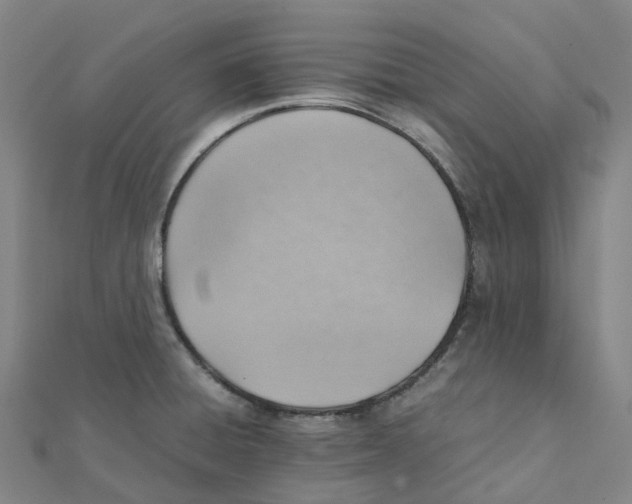 X0000112091428200909011055