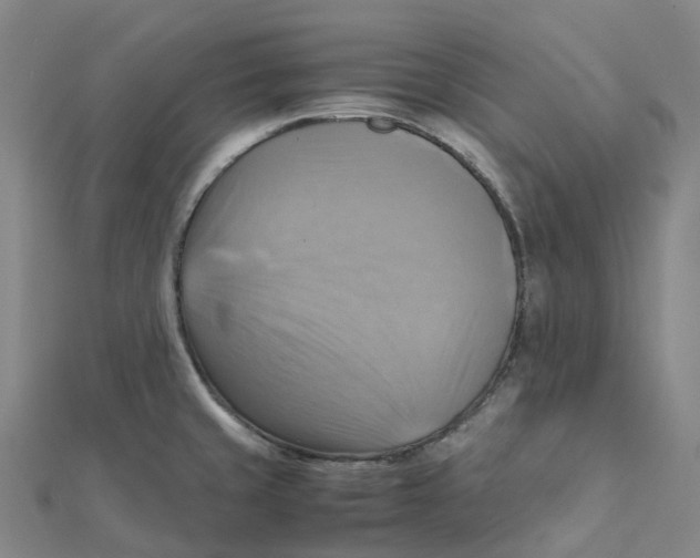 X0000112091429200909011055