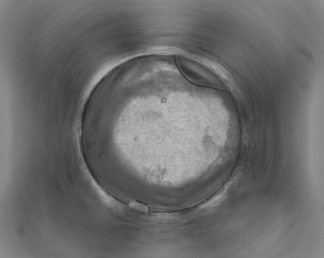 X0000112091430200909011055