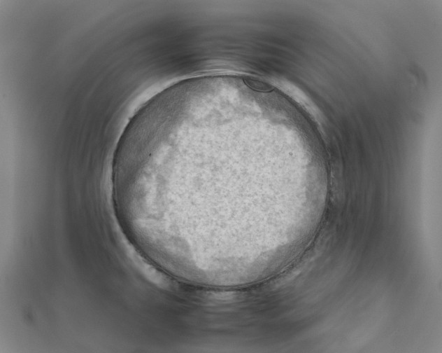 X0000112091431200909011055