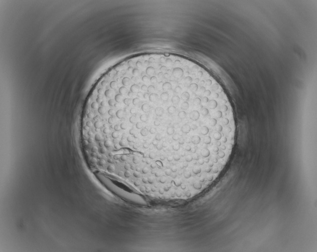 X0000112091432200909011055