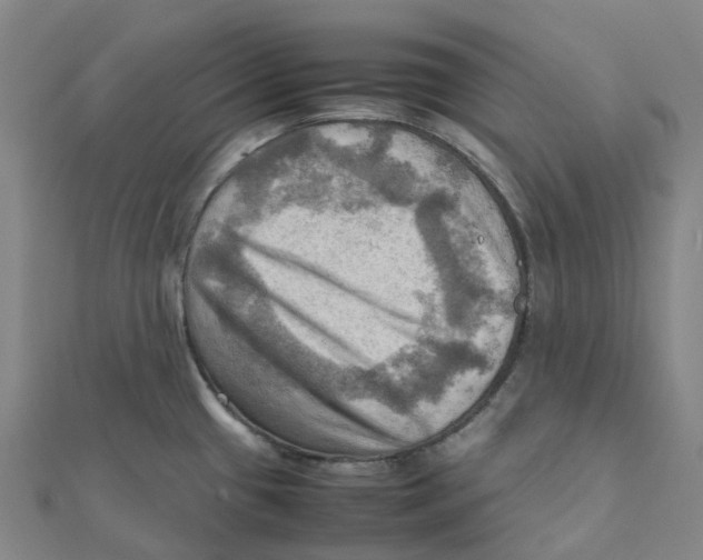 X0000112091433200909011055