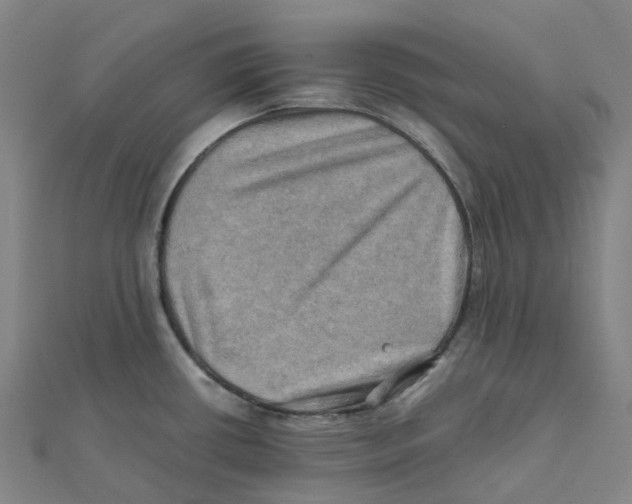 X0000112091434200909011055