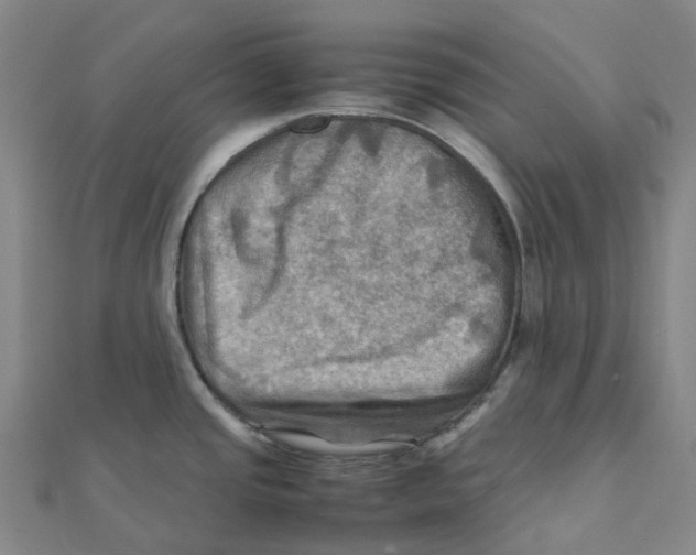X0000112091437200909011055