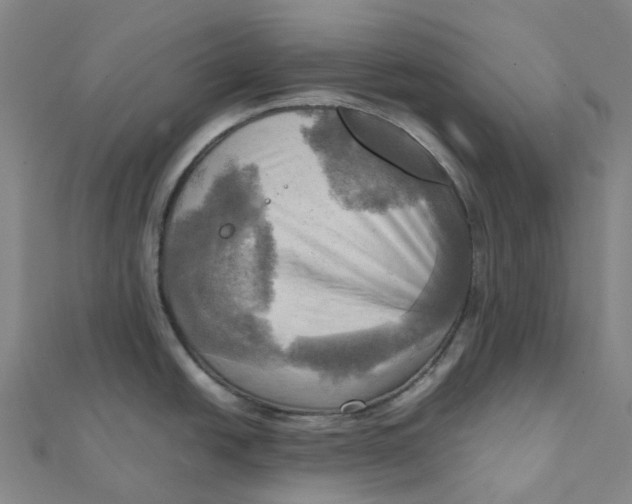 X0000112091438200909011055