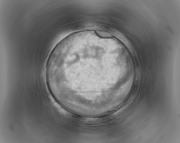 X0000112091439200909011055