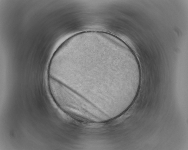 X0000112091440200909011055