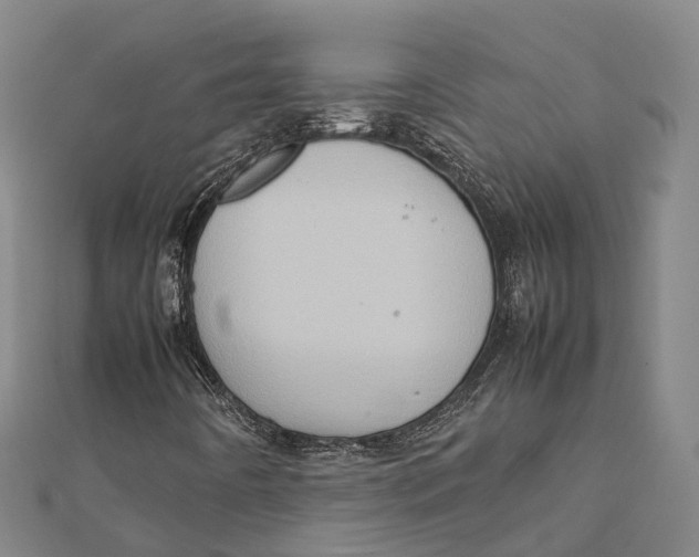 X0000112091442200909011055