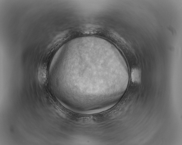 X0000112091444200909011055
