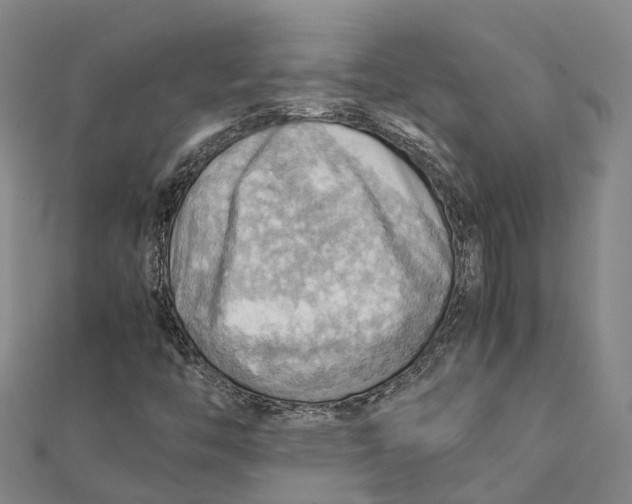 X0000112091446200909011054