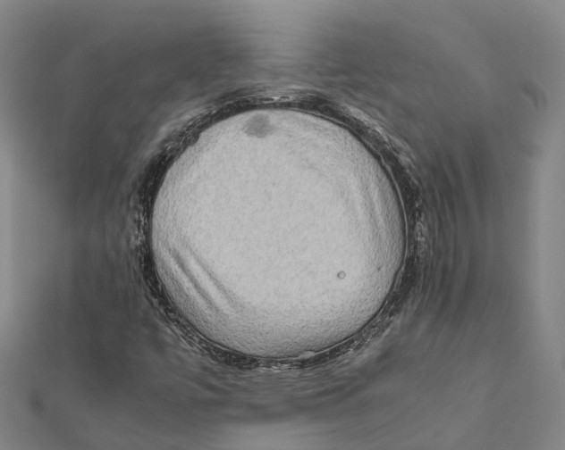 X0000112091447200909011054