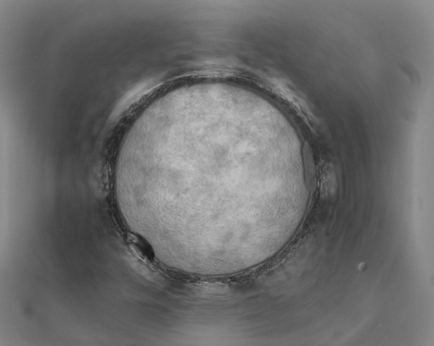 X0000112091448200909011054