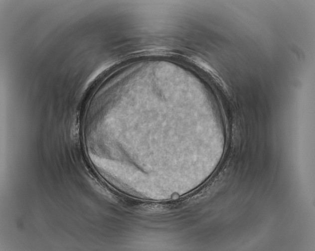 X0000112091450200909011054