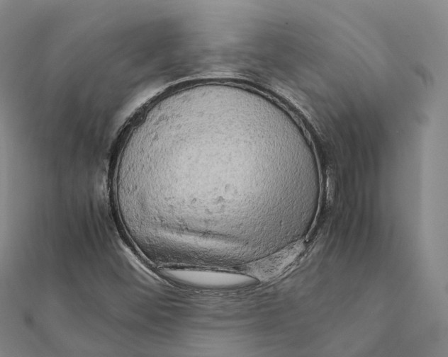 X0000112091452200909011054