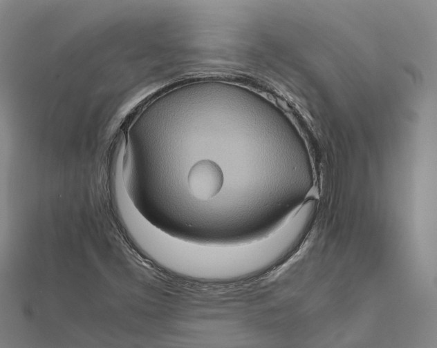 X0000112091453200909011054
