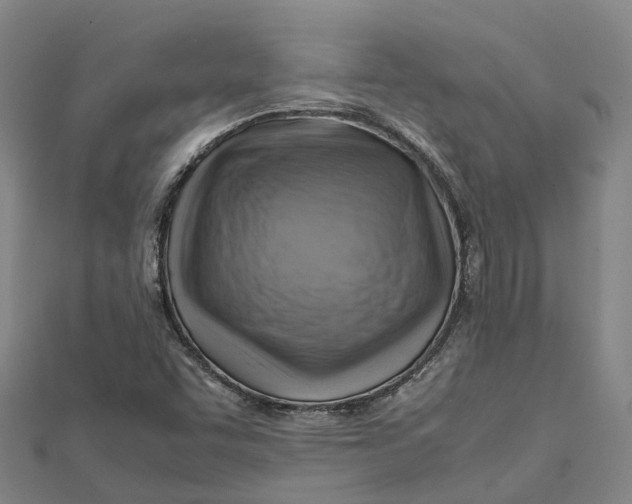 X0000112091455200909011054