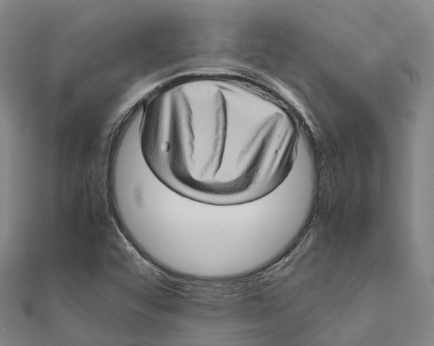 X0000112091456200909011054