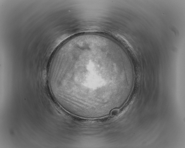 X0000112091457200909011054