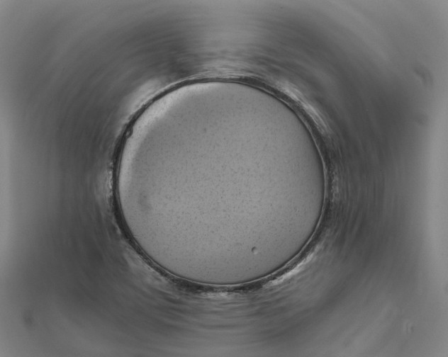X0000112091459200909011054