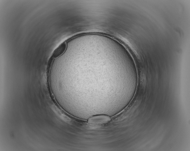 X0000112091460200909011054