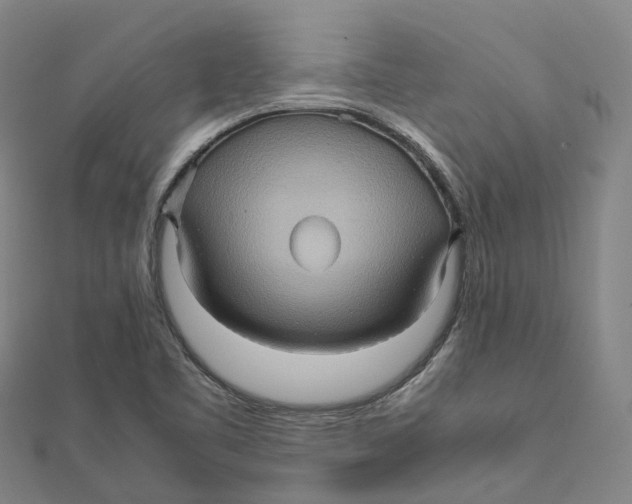 X0000112091461200909011054