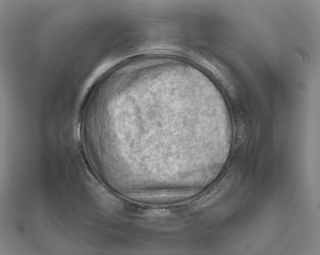 X0000112091462200909011054