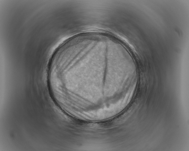 X0000112091463200909011054