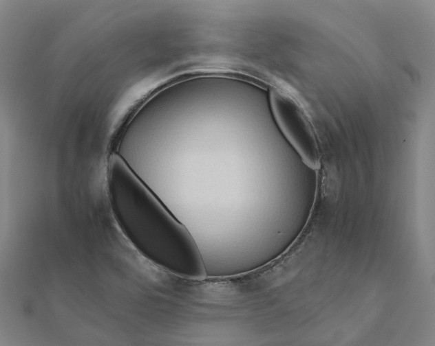 X0000112091464200909011054