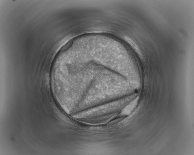 X0000112091465200909011054