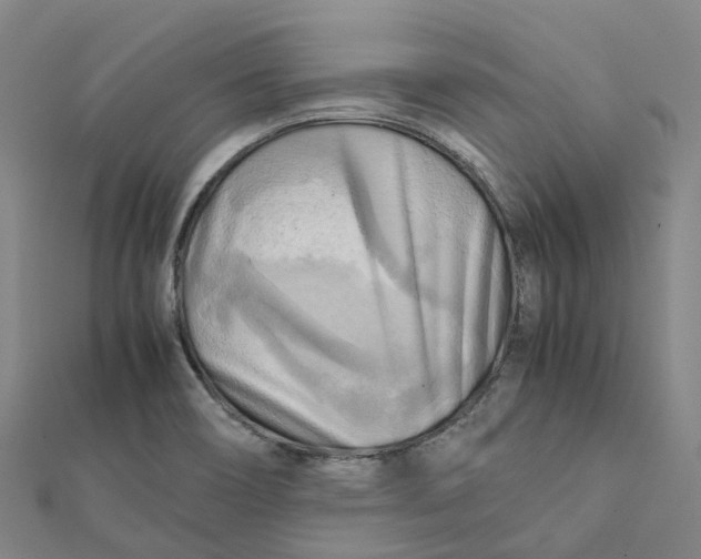 X0000112091466200909011054