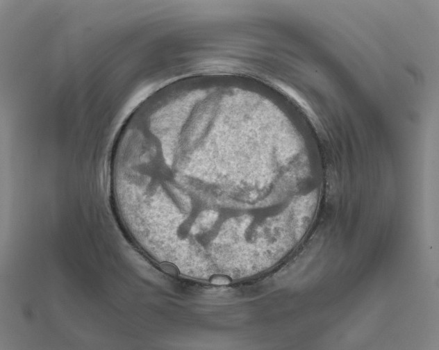 X0000112091467200909011054