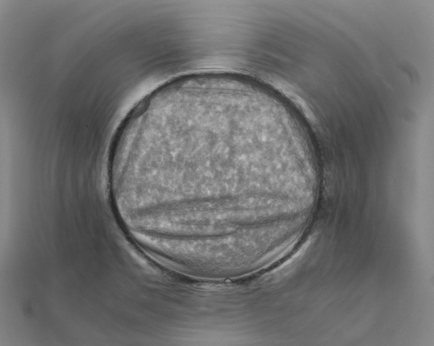 X0000112091469200909011054