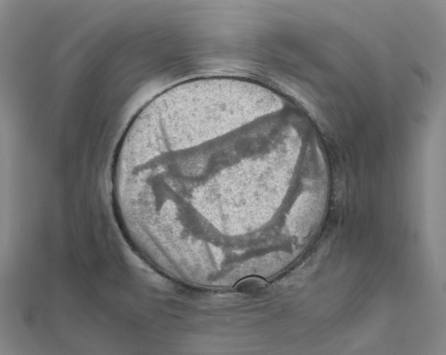 X0000112091471200909011054